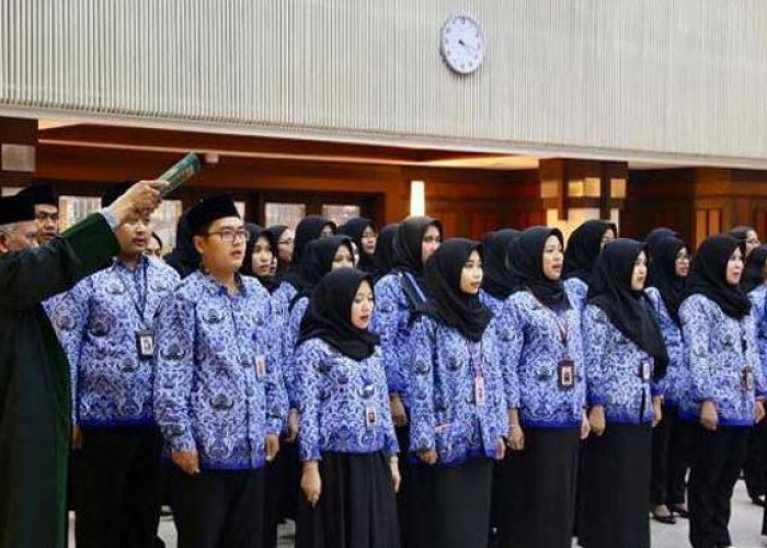 Seleksi PPPK 2024 Tanpa Passing Grade, Lantas Bagaimana Penilaiannya?