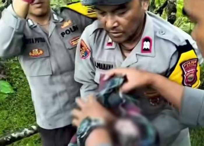 Ayah Bayi yang Dibuang di Jembatan Padang Guci Jadi Tsk, Bagaimana Kabar Sang Ibu?