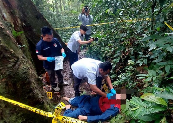 Pembunuhan di Lokasi Wisata Bunga Rafflesia Bengkulu Diduga Bermotif Selingkuh, 3 Terduga Pelaku Diamankan