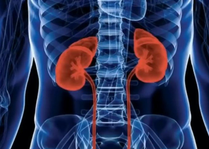 10 Kebiasaan Sehari-hari yang Diam-diam Merusak Ginjal, Waspadai Sebelum Terlambat