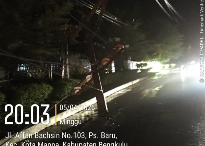 PLN ULP Manna: Listrik Padam Akibat Tiang Tumbang di Depan Dinas Pendidikan