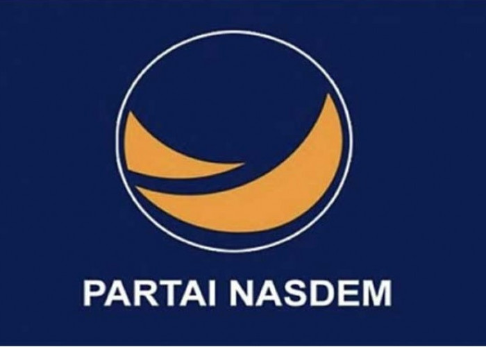 Daftar Nama Bacaleg Partai Nasdem Bengkulu Selatan Pemilu 2024, Lengkap Dengan Foto