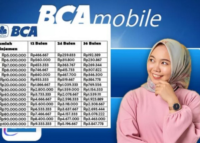 Pinjaman Online BCA Cair Rp 100 Juta Tanpa Agunan dan Modal KTP, Angsurannya Cuma Segini