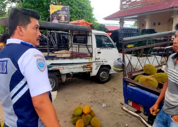 Pedagang Durian Bikin Macet, Dishub Bengkulu Selatan Turun Tangan