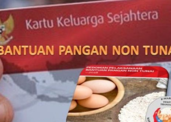 Info Terbaru! Bansos BPNT untuk 20 Kabupaten/Kota, Saldo PKH BPNT Susulan Periode Juli - Agustus