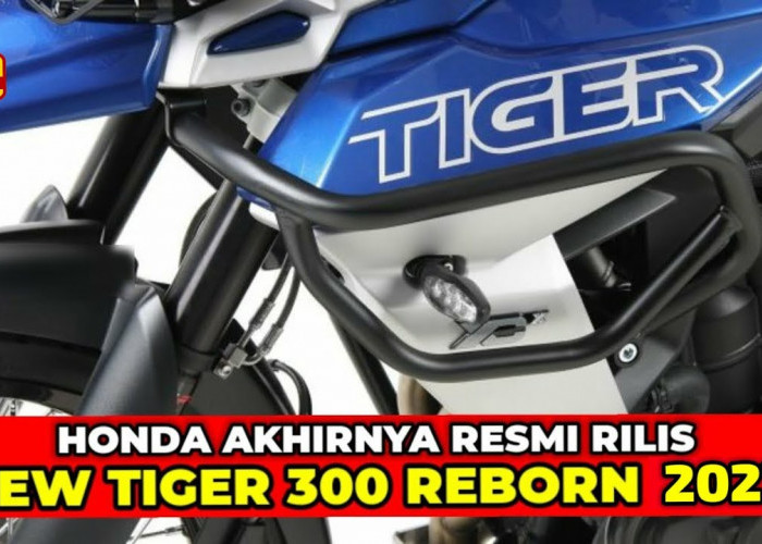 Honda Tiger Reborn Kian Menantang, Desain Tajam dan Agresif, Harga Setara Motor Skutik