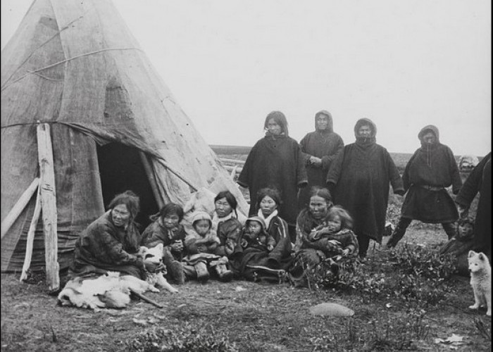 Makanan Suku Nenets, Penduduk Arktik Rusia Bikin Perut Mual, Apalagi Minumannya