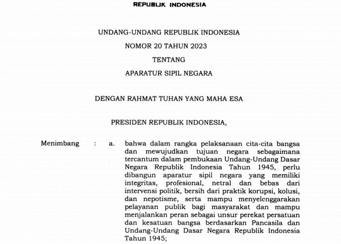 DPR RI Usulkan Revisi UU Nomor 20 Tahun 2023 Tentang ASN, Pembina Honorer Khawatir 