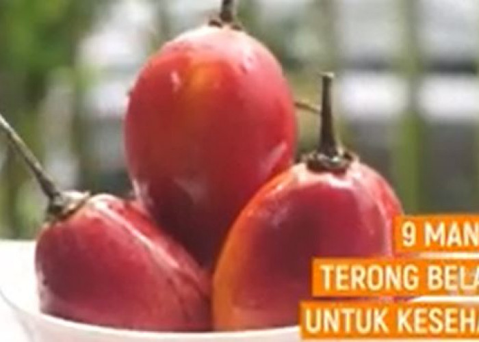 9 Manfaat Terong Belanda untuk Kesehatan, Kaya Antioksidan hingga Jaga Jantung