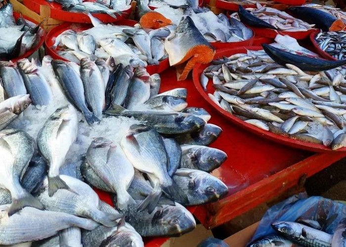 Mau Bakar Ikan Malam Tahun Baru? Simak Cara Pilih Ikan Segar, Nomor 4 Penting Diperhatikan