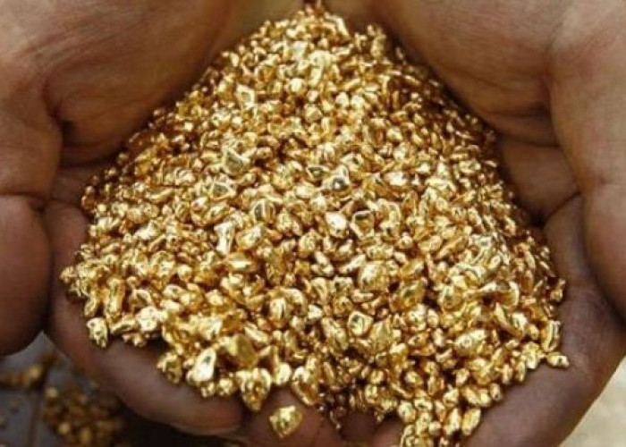 Enam Daerah Penghasil Emas Terbesar di Indonesia, Satu Di Pulau Sumatera, Hasilnya Tak Jauh dari Freeport