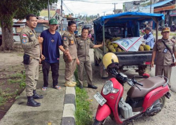 Tak Mau Pindah! Pedagang Buah di Alun-alun Bintuhan Diangkut Satpol PP Kaur