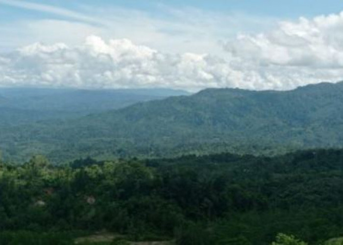 Dua Kecamatan di Bengkulu Memiliki Cadangan Emas Setara Freeport, Lokasinya di Seluma, Ini Nama Kecamatannya
