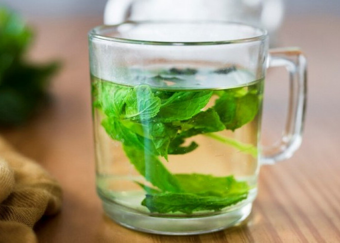 7 Manfaat Minum Air Daun Kemangi di Pagi Hari! Begini Cara Meraciknya