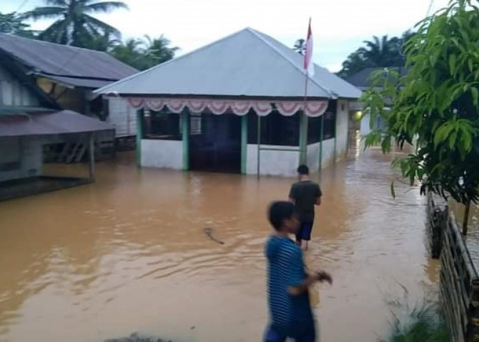 Ada Ribuan Rumah Terendam se Provinsi Bengkulu