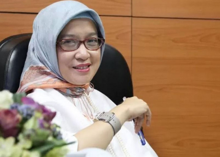 Kebijakan Khusus Honorer di Seleksi PPPK 2024! MenPAN-RB Rini Pastikan Pengalihan Status Non-ASN