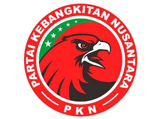 Daftar Nama Bacaleg PKN Bengkulu Selatan Pemilu 2024 Lengkap Dengan Foto