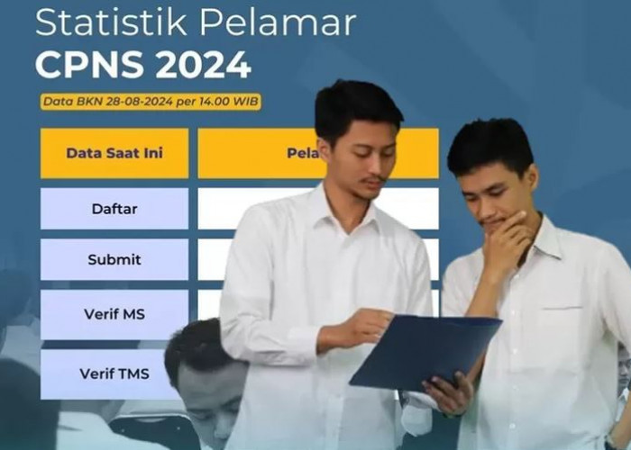 Update Jumlah Pelamar CPNS 2024 Terbanyak dan Paling Sepi Peminat