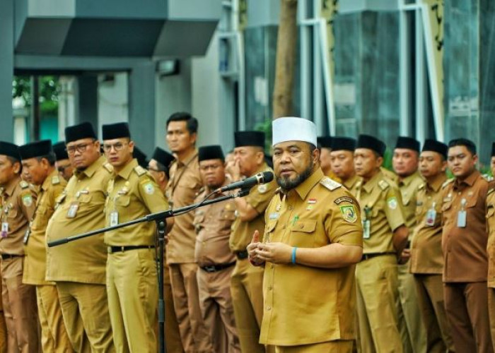 Bahas Nasib Masa Depan Tenaga Honorer di Bengkulu, Gubernur Helmi Hasan Temui Kepala BKN