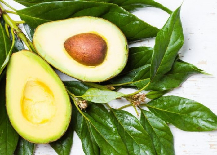 Mood Lagi Merosot, Coba Makan Makanan Ini, Otomatis Bikin Ceria Lagi