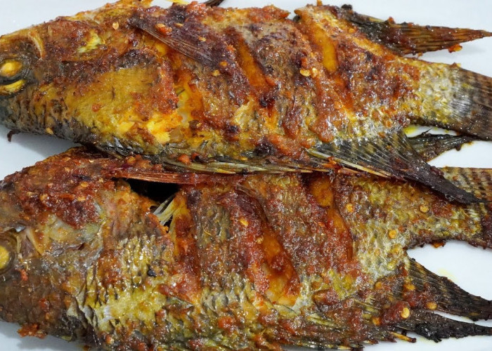 4 Ikan Terbaik untuk Menjaga Gula Darah Tetap Stabil: Pilihan Sehat, Lezat, dan Terjangkau