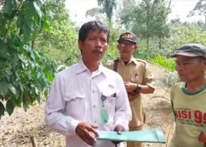 Harimau Sumatera Berbadan Kurus dan Berkaki Pincang Masih Berkeliaran, Ini Penjelasan Petugas BKSDA