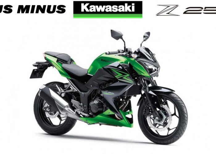 Spesifikasi Kawasaki Z250, Motor Sport Naked Bermesin 2 Silinder dengan Harga Terjangkau