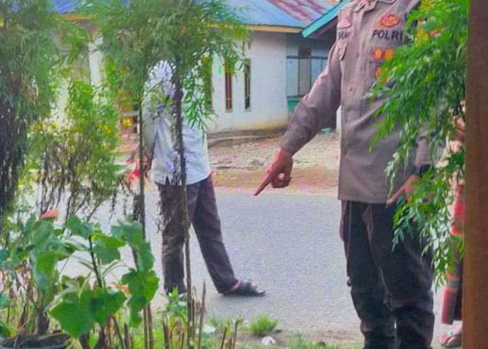 Penusukan Berdarah di Bengkulu Selatan, Pelaku dan Korban Ternyata Masih Keluarga