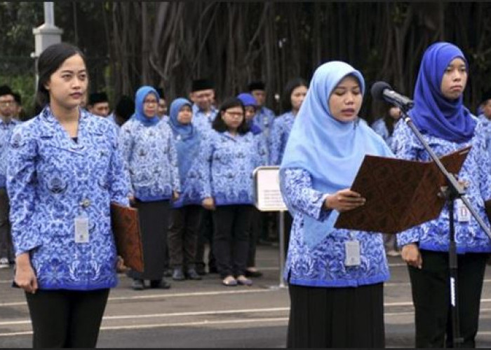 Perkiraan Jumlah PPPK Paruh Waktu dan Gajinya, Honorer Mungkin Kecewa