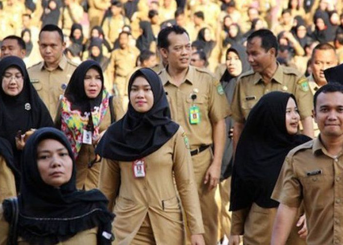 Guru Honorer 2025 Masih Ada! Pemda Diminta Bayar Gaji Honorer Perbulan, Bukan 3 Bulan Sekali