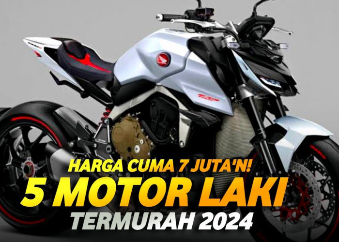 Mau Motor Bekas Murah Tapi Berkualitas? 5 Motor Ini Bisa Jadi Pilihan, Ada yang Hanya Rp 7 Jutaan