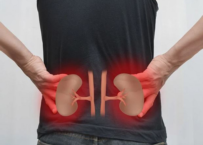 Kebiasaan Sehari-hari yang Dapat Merusak Ginjal Secara Perlahan, Ini Penjelasan Dokter