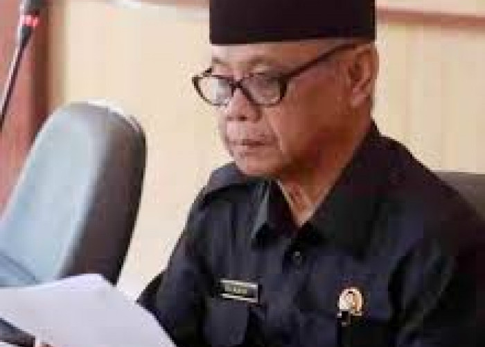 Arus Mudik dan Wisata Diminta Tetap Kondusif, Satpol PP Bengkulu Selatan Didorong Intensifkan Razia Ternak