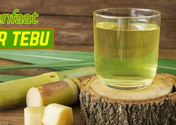 Air Tebu, Minuman Alami untuk Kesehatan! Apa Saja Manfaatnya untuk Tubuh?