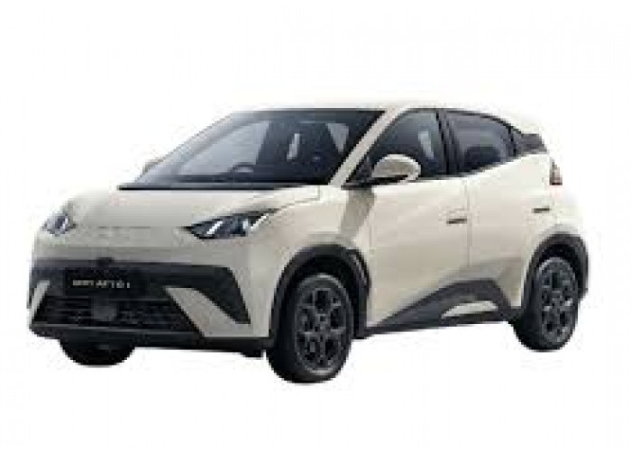 Mobil Listrik Makin Terjangkau: Pilihan Baru Mulai Rp170 Jutaan, Lebih Murah dari Brio RS