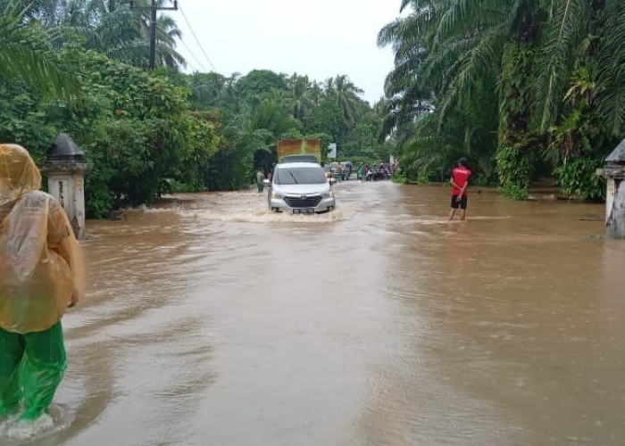 Enam Kabupaten di Bengkulu Waspada Banjir dan Lonsor, BMKG Puncak Musim Hujan Segera Tiba