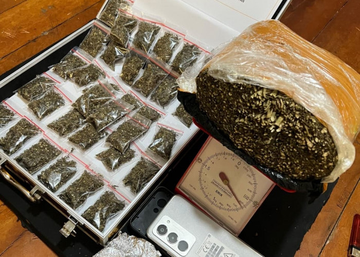 Tim BADAI Sat Narkoba Polres Bengkulu Selatan Beraksi, Sita Hampir 1 Kg Ganja Siap Edar