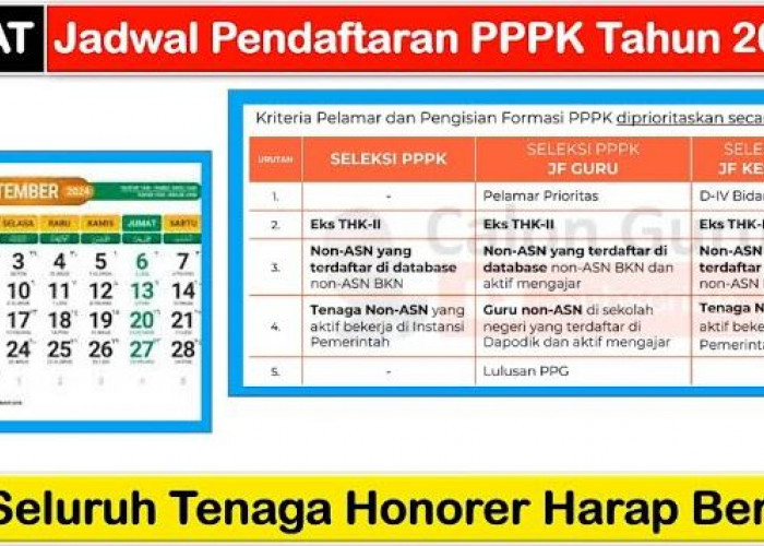 Pendaftaran PPPK 2024  Terganggu, Data Honorer Non-Database Penyebabnya, Ini Penjelasan BKN