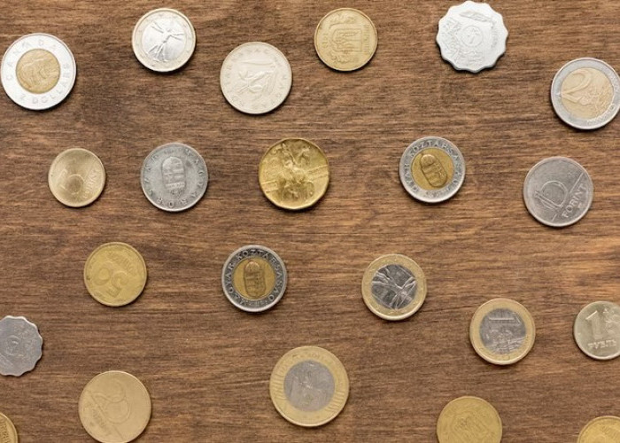 Paling Dicari Kolektor! Uang Koin Kuno Termahal di Planet Bumi, Mungkin Anda Punya?