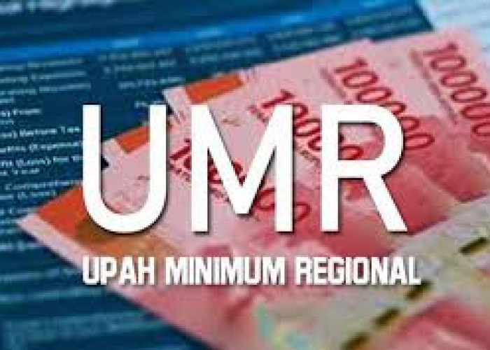 UU Cipta Kerja Sebut Ketentuan Upah Minimum Tidak Berlaku untuk Usaha Mikro dan Kecil