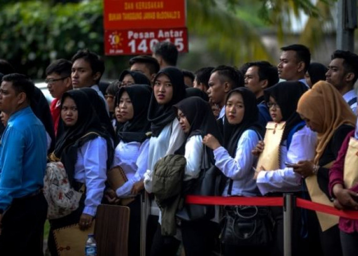 BPS: Jumlah Pengangguran di Provinsi Bengkulu Terkecil di Sumatera, Kota Penyumbang Terbanyak