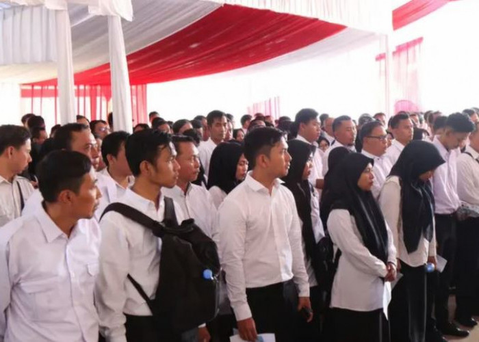 Komisi II DPR Desak Pemerintah untuk Segera Melantik CPNS dan PPPK yang Memenuhi Syarat