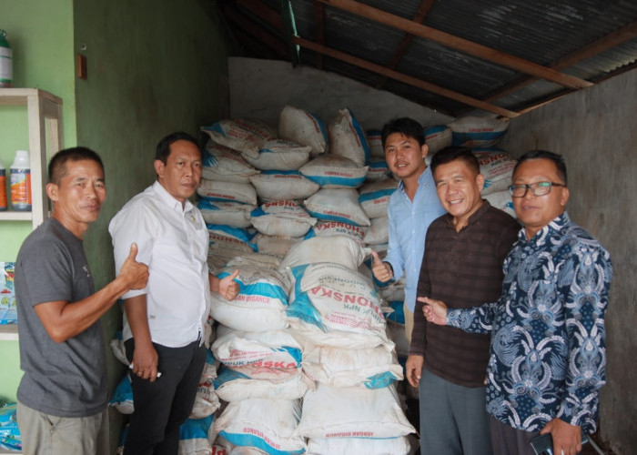 Duh...Kuota Pupuk Subsidi di Bengkulu Selatan Cuma Dipenuhi 46 Persen, Distan Salahi Petani