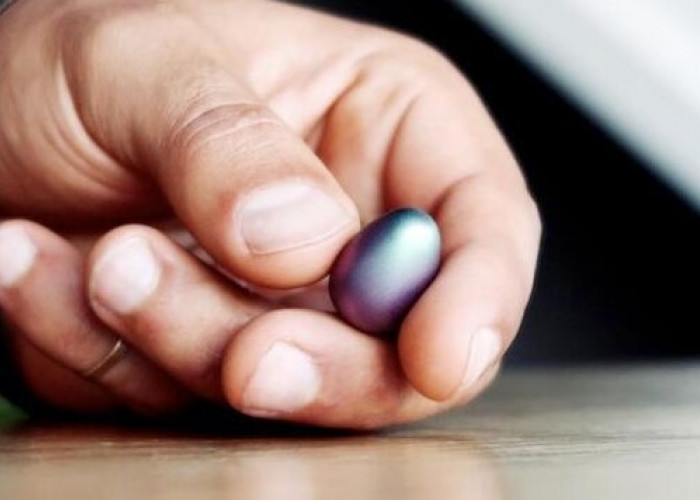 Viral Thingking Egg! Batu Kecil Seharga Rp 4 Juta yang Diklaim Mengatasi Stres