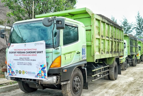 Bengkulu Ekspor 8.500 Ton  Cangkang Sawit ke Thailand