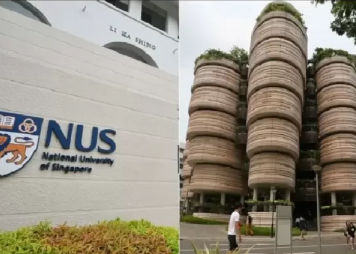 6 Jenis Beasiswa Kuliah S1-S3 ke Singapura, Bisa Masuk NUS atau NTU, Calon Mahasiswa Wajib Tahu