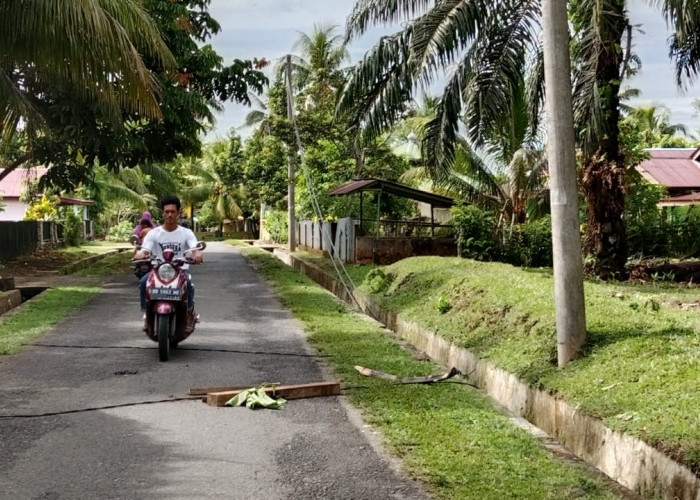 Awas, Kabel PLN Bertegangan Tinggi Terlepas di Desa Tanggo Raso