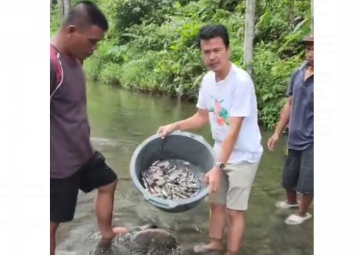 Banyak Ikan Mati di Sungai Air Bengkenang, Anggota DPRD Bengkulu Selatan Marah Lalu Lapor Polisi
