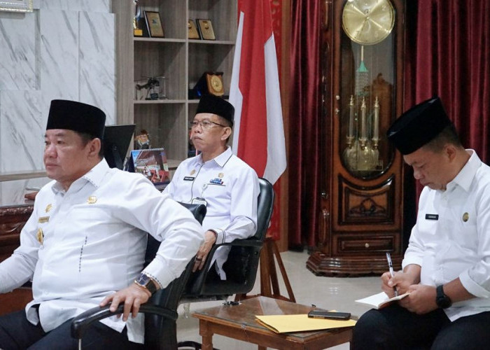 Penataan Tenaga Honorer Pemprov Bengkulu Bakal Rampung Pertengahan 2025