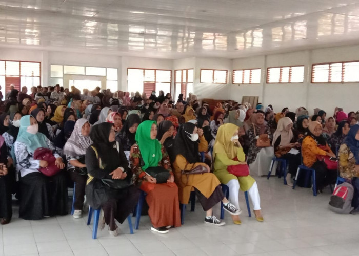 Pendaftaran PPPK Nakes Ditutup Hari Ini, 76 Tenaga Guru di Bengkulu Selatan Menunggu Jawaban